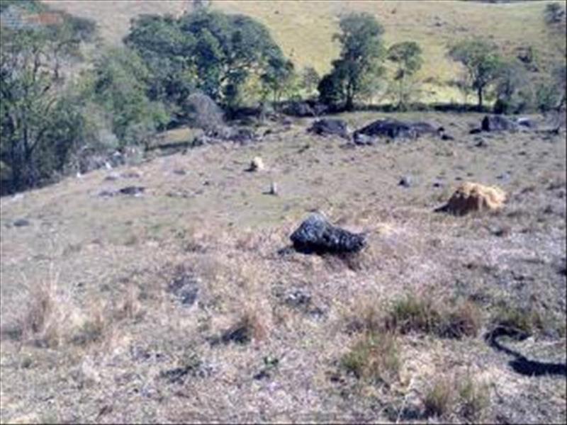 Terreno a Venda no sobradinho em Itamonte