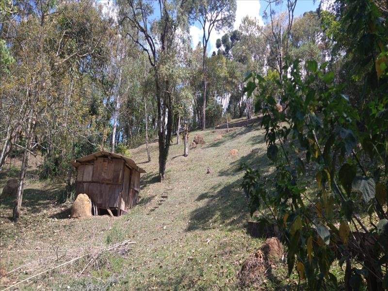 Terreno a Venda no Maromba em Itatiaia