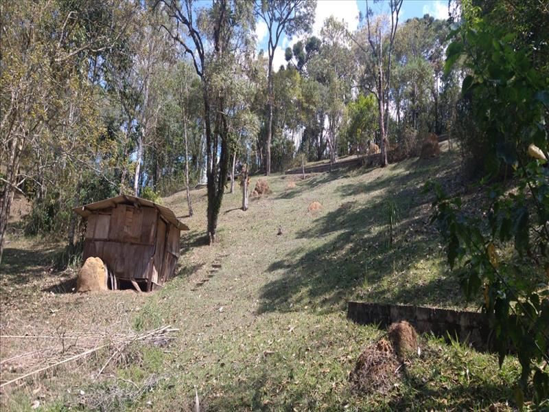 Terreno a Venda no Maromba em Itatiaia