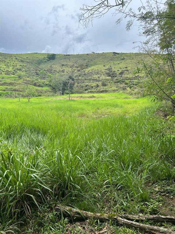 Terreno a Venda no Vila Florida  em Itatiaia - Foto do Im�vel