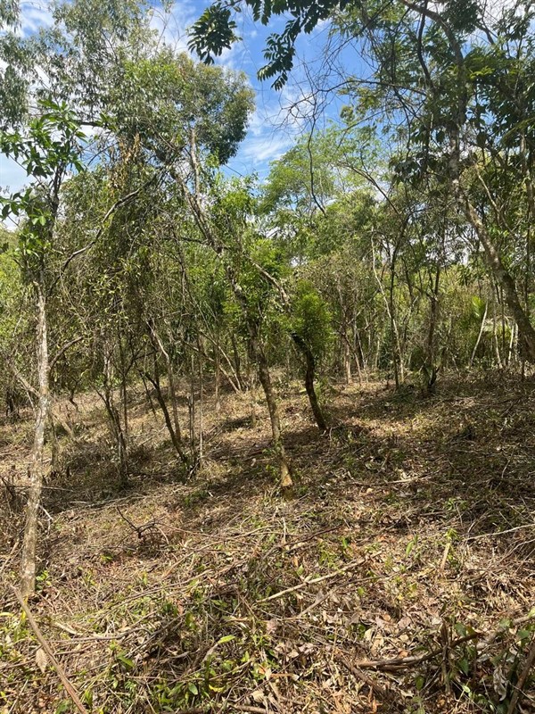 Terreno a Venda no parque nacional  em Itatiaia - Foto do Im�vel