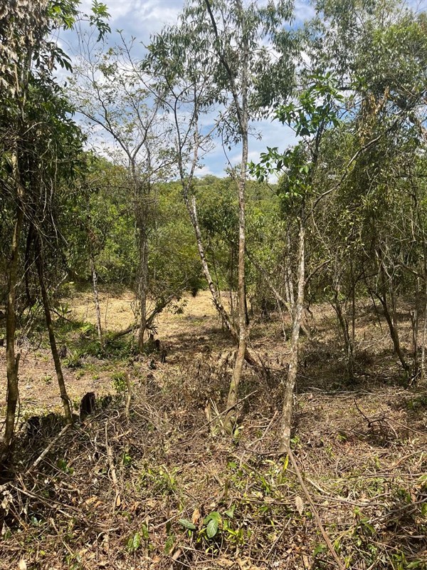 Terreno a Venda no parque nacional  em Itatiaia - Foto do Im�vel
