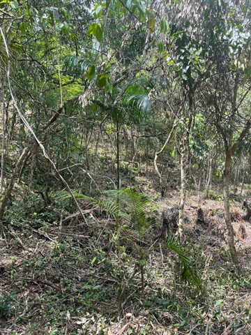 Terreno à Venda