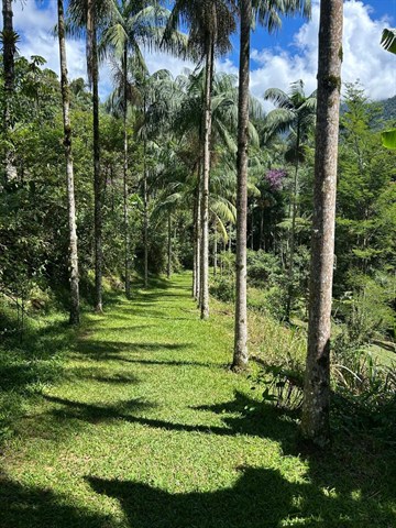 Casa à Venda