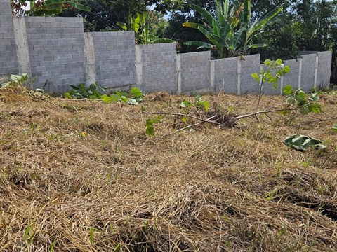 Terreno à Venda